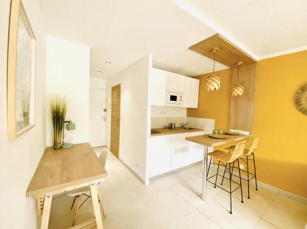 Studio Terrasse & Parking Gratuit En Residence ニーム エクステリア 写真